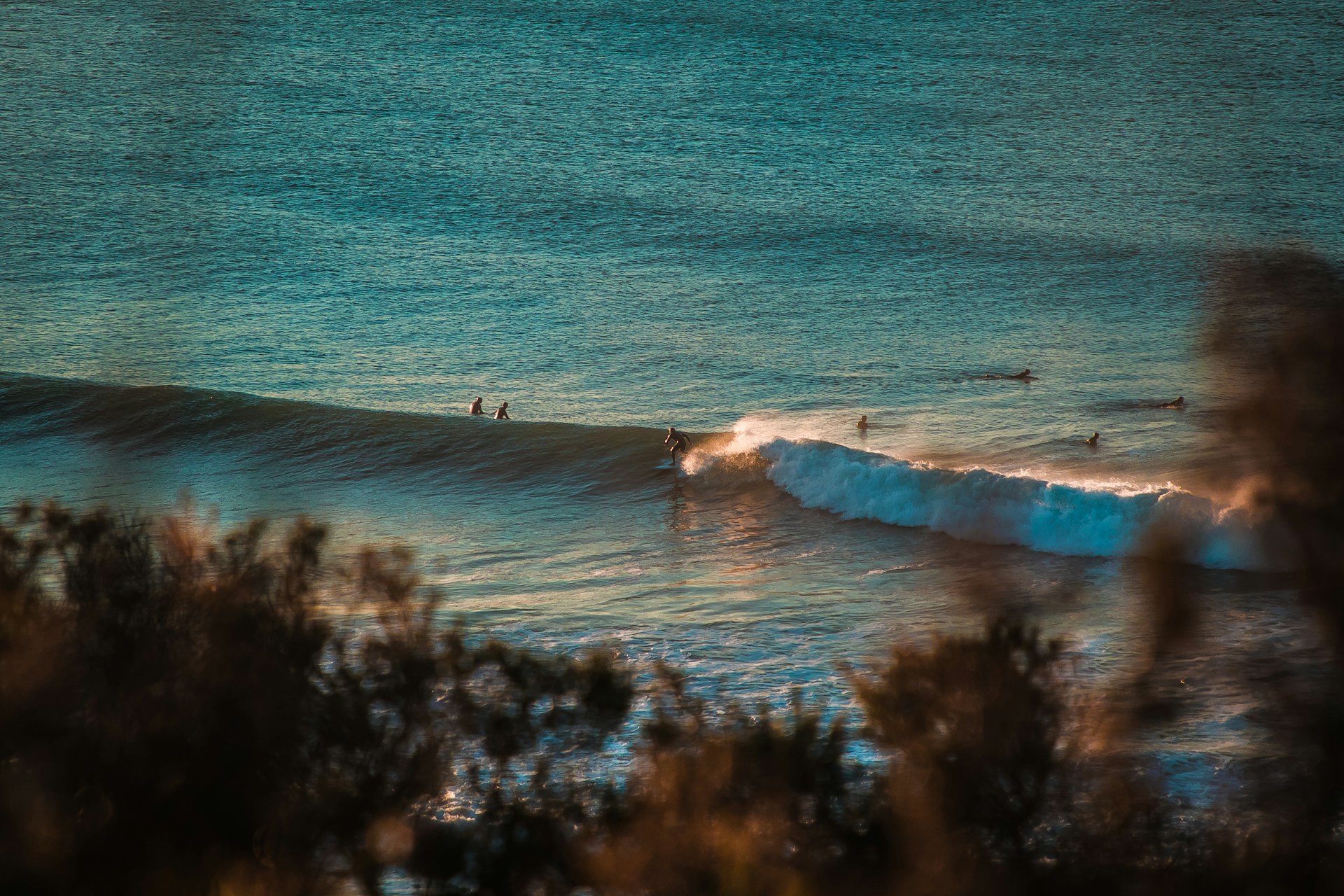 Torquay Surf